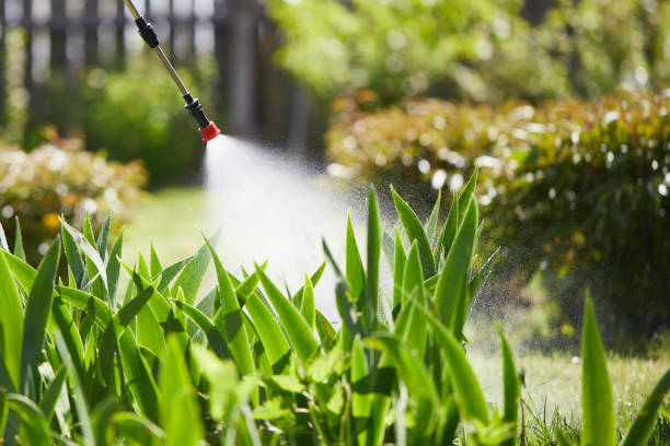 24/7 Emergency Mosquito Control experts in Alton, TX