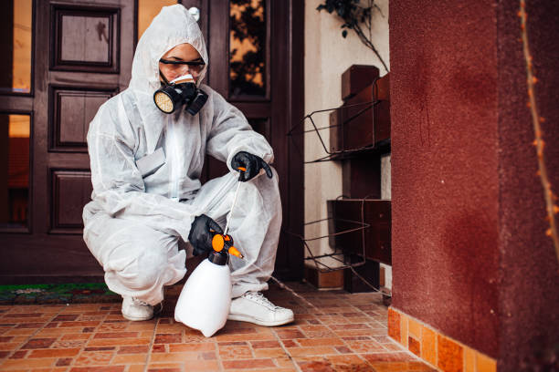 Reliable Mosquito Control contractor in Alton, TX by Show Me Pest Control